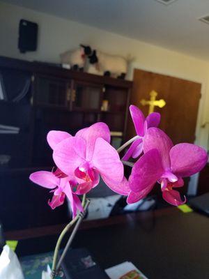 Lakeside Lutheran Church