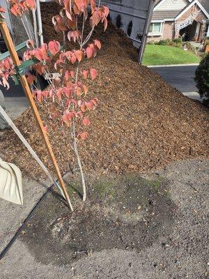 Norcal Wholesale Bark