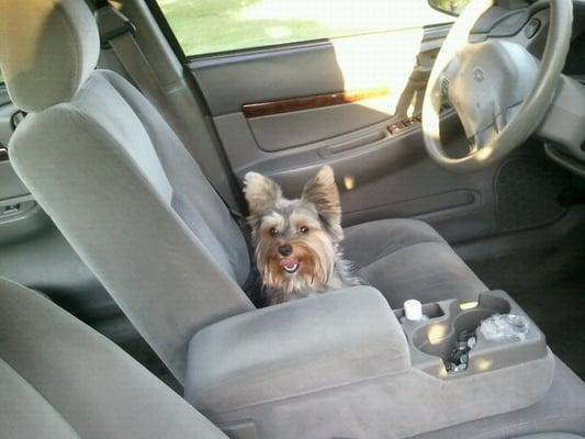 Student Drivers School