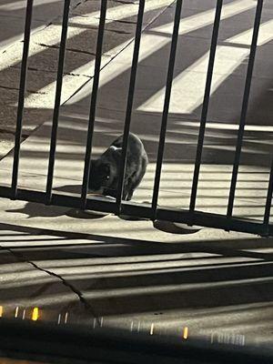 Church In Hacienda Heights