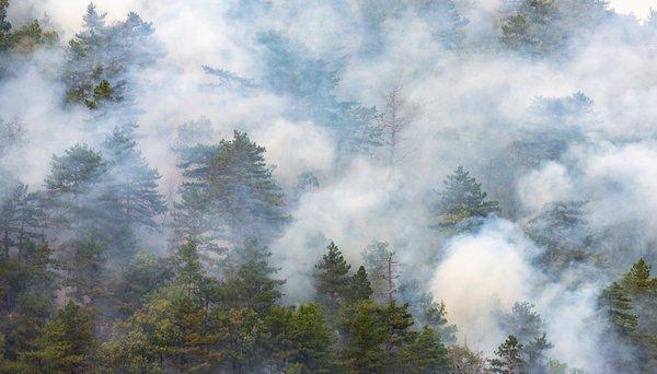 smoke damage gilbert