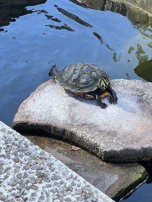 Sloooow and incompetent