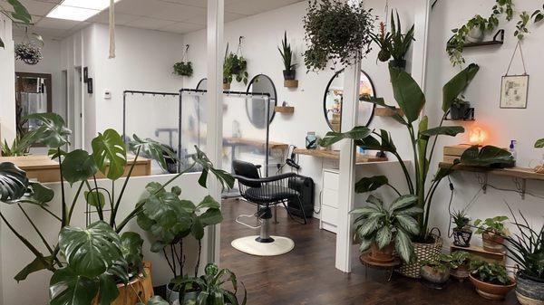 Southern Roots Lafayette