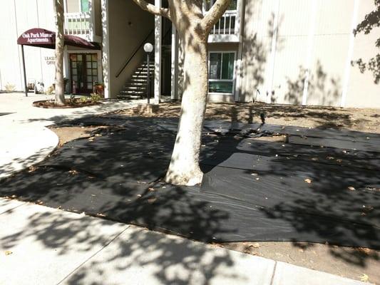 Lawn was removed 7 months ago and is still "under construction".