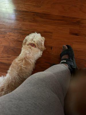 The Potempa Team - CrossCountry Mortgage