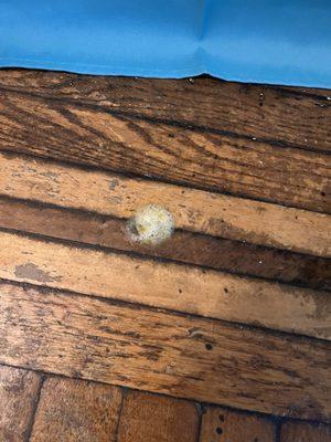 Riverdale Animal Hospital