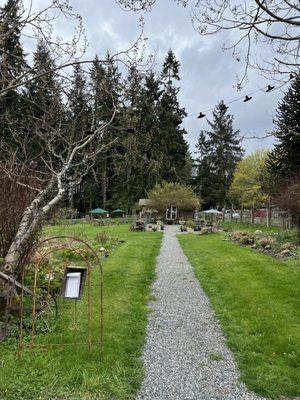 Chocolate Flower Farm