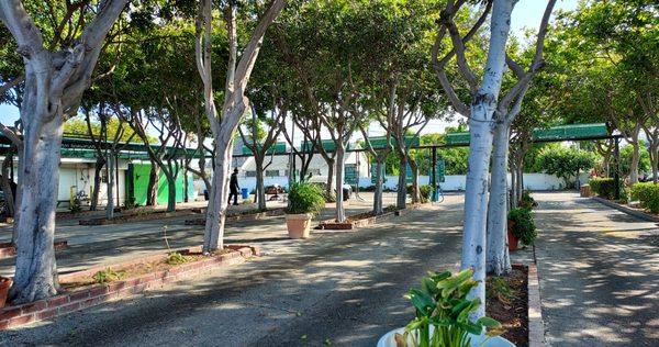 Culver City Express Hand Car Wash and Detail