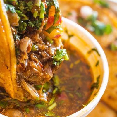 Quesobirria taco plate