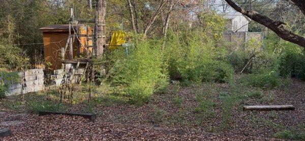 Grace Landscaping and Tree Service