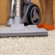 Boll Weevil ChemDry