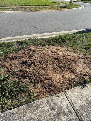Bob's Stump Grinding