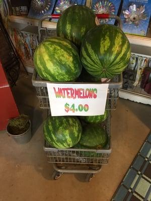 The Melon Patch