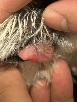 Loving Care By Carlos & Rene