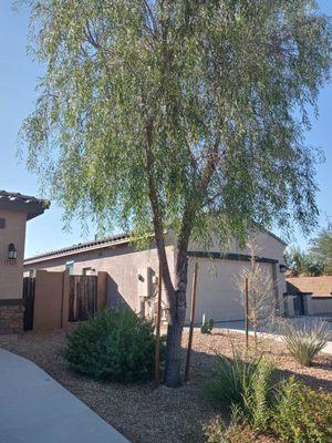 El-Shaddai Landscaping