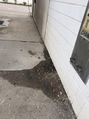 Piles of dirt covered in cigarette butts. The place is filthy have some pride in your business and clean it.