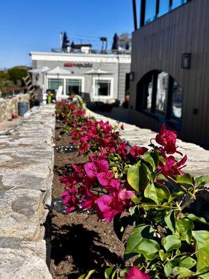 Rojas Landscape Construction