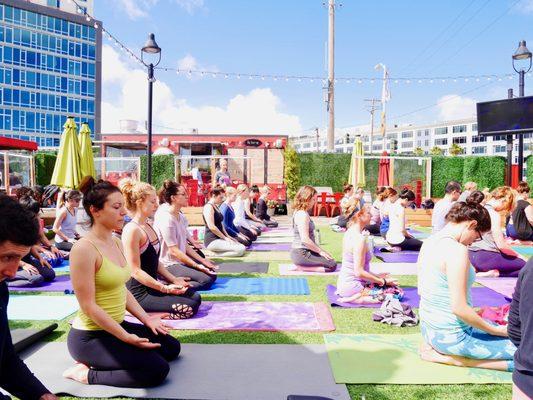 Downward Drinking Dog