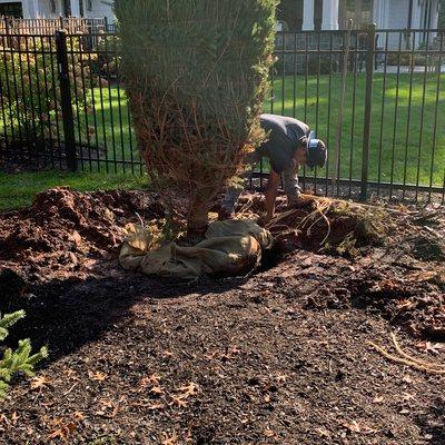 Isl Lopez Construction and Landscaping