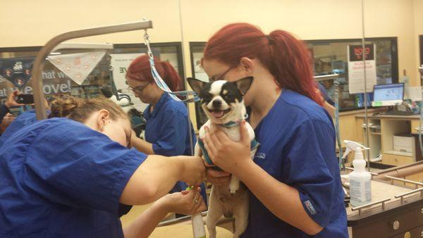 New Haven Pet Hospital