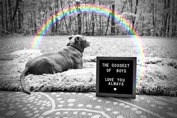 Thank you, Rossmoyne, for treating him so well.