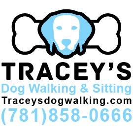 Tracey's Dog Walking