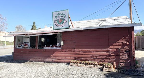 Nicolson's Strawberries