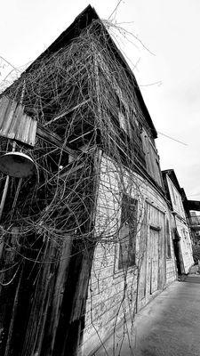 Locke Historic District