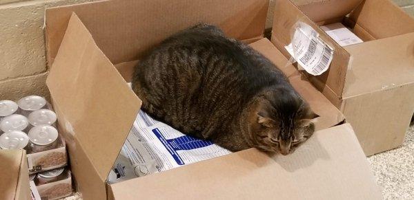 Merritts Creek Veterinary Center