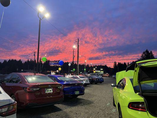 Titus-Will Used Cars at Martin Way