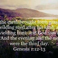 On the third day God created the herbs and trees, and saw it was good. Genesis 1:12-13
