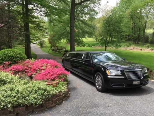 Escort Limousine