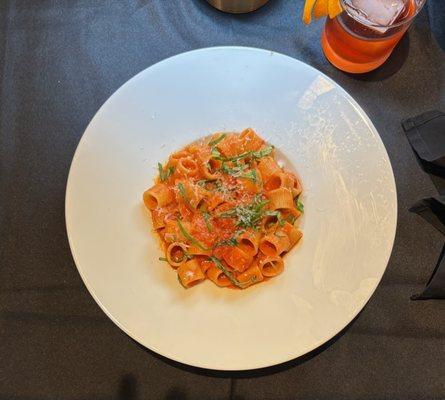 Mezze rigatoni with spicy vodka sauce