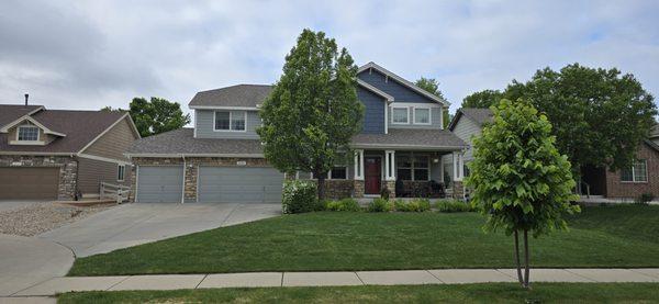 Ace of Diamonds Painting