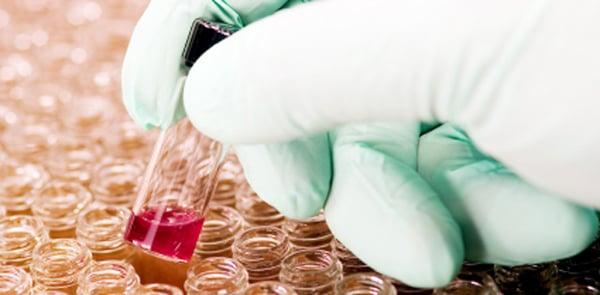 Eneyvel's Tax Solutions