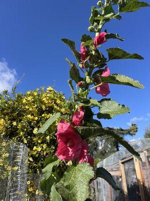 Sepulveda Garden Center