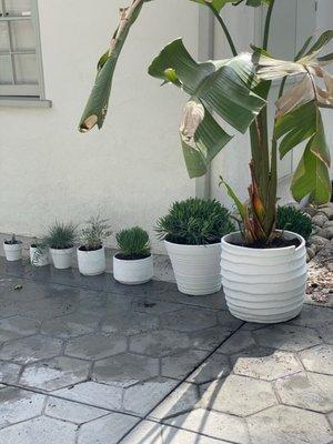 Southwind Landscaping