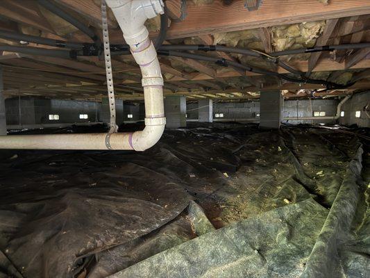 Koala Insulation of Savannah