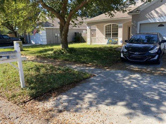 Leaf job and yard clean up