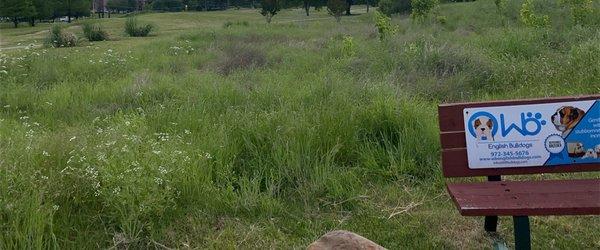 Mesquite Golf Course