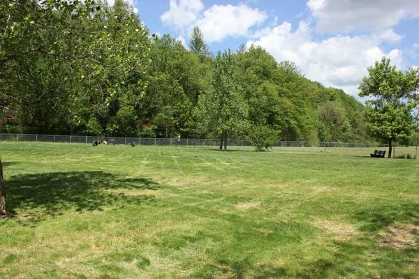 BARC Akron Dog Park