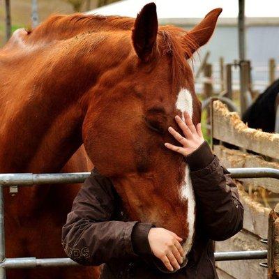 Epona Equine Eventing