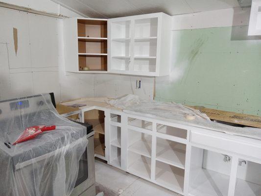 Pulsar Custom Painting & Renovation