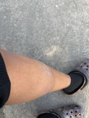 All Health Chiropractic