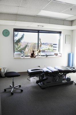 Health in Harmony Chiropractic