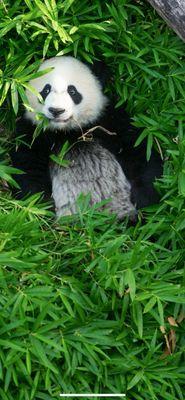 Reser's Outlet Store