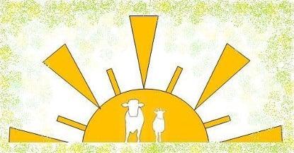 Sunrise Veterinary Services and Missions