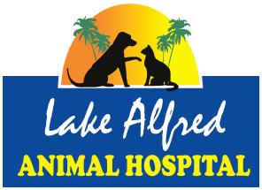 Lake Alfred Animal Hospital