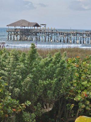 A Native Sun Landscape Services