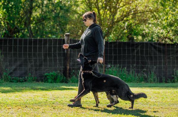 Photo of me and my dog heeling after help from prodogz